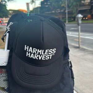 Whole Foods Harmless Harvest Hat